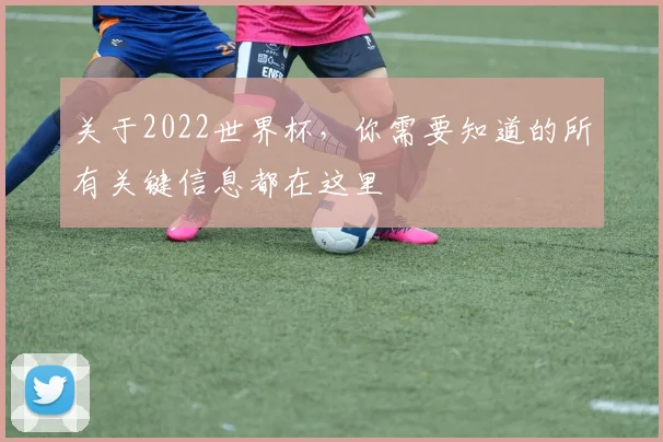 关于2022世界杯，你需要知道的所有关键信息都在这里