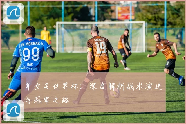 年女足世界杯：深度解析战术演进与冠军之路