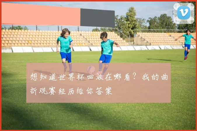 想知道世界杯回放在哪看？我的曲折观赛经历给你答案