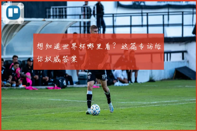 想知道世界杯哪里看？这篇专访给你权威答案