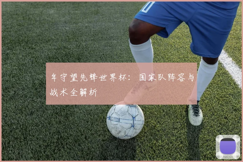 年守望先锋世界杯：国家队阵容与战术全解析