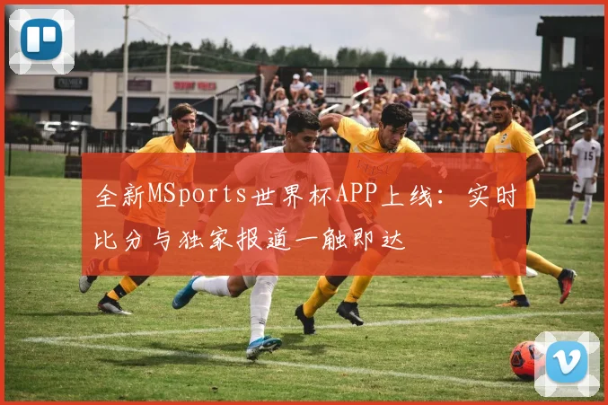 全新MSports世界杯APP上线:实时比分与独家报道一触即达