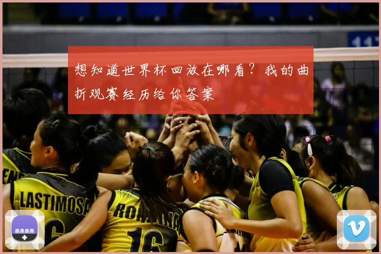 想知道世界杯回放在哪看？我的曲折观赛经历给你答案