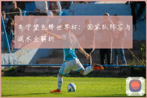 年守望先锋世界杯：国家队阵容与战术全解析