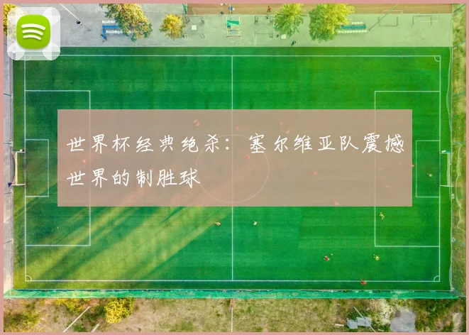 世界杯经典绝杀：塞尔维亚队震撼世界的制胜球